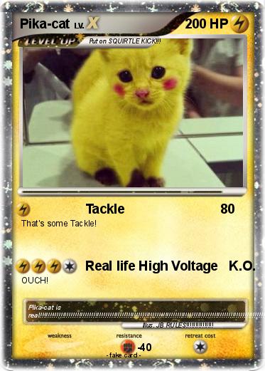 Pokemon Pika-cat