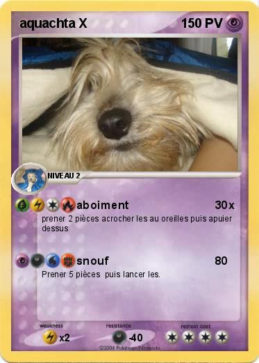 Pokemon aquachta X