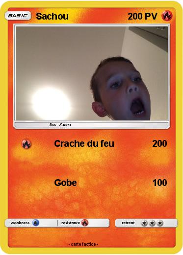 Pokemon Sachou