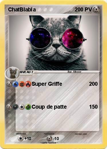Pokemon ChatBlabla