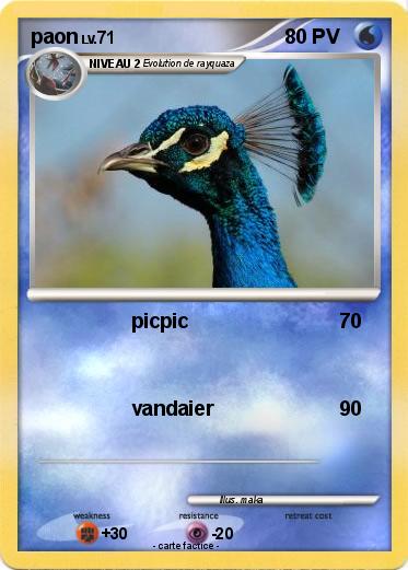 Pokemon paon