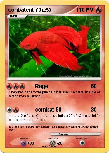 Pokemon conbatent 70