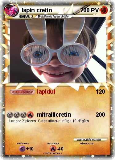 Pokemon lapin cretin