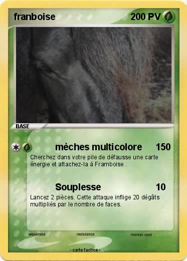Pokemon franboise