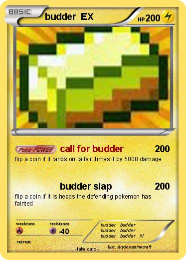 Pokemon budder  EX