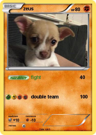 Pokemon zeus