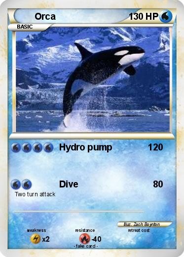Pokemon Orca