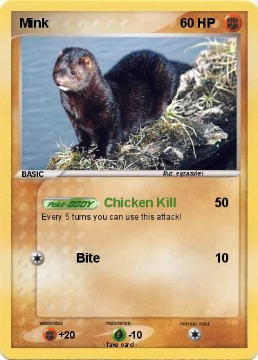 Pokemon Mink