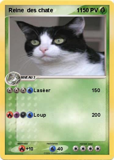 Pokemon Reine  des chate               1                                                   