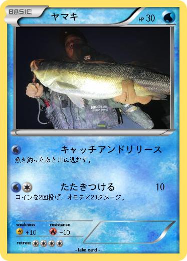 Pokemon 　ヤマキ