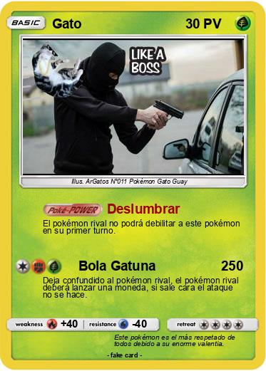 Pokemon Gato