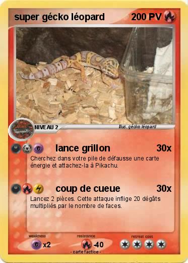 Pokemon super gécko léopard