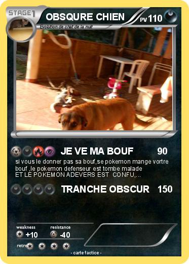Pokemon OBSQURE CHIEN
