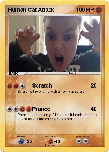 Pokemon Human Cat Attack