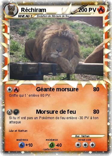 Pokemon Réchiram