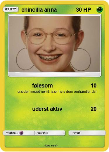 Pokemon chincilla anna