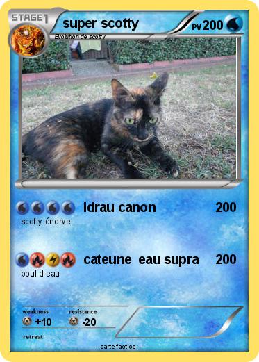 Pokemon super scotty