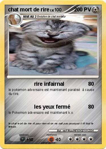 Pokemon chat mort de rire