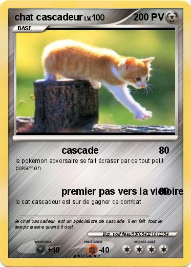 Pokemon chat cascadeur