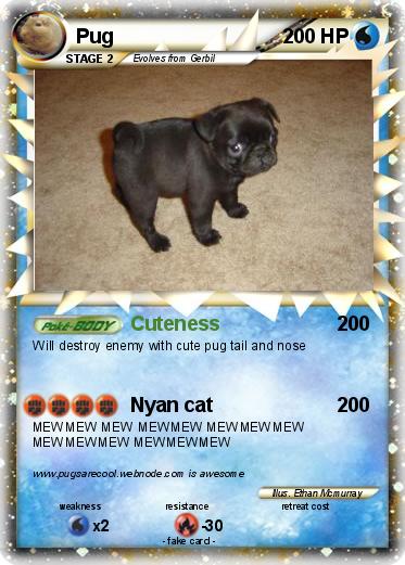 Pokemon Pug