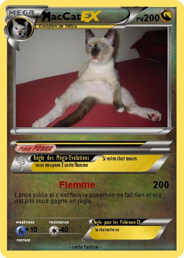 Pokemon acCat