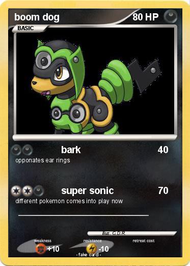 Pokemon boom dog