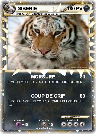 Pokemon SIBERIE