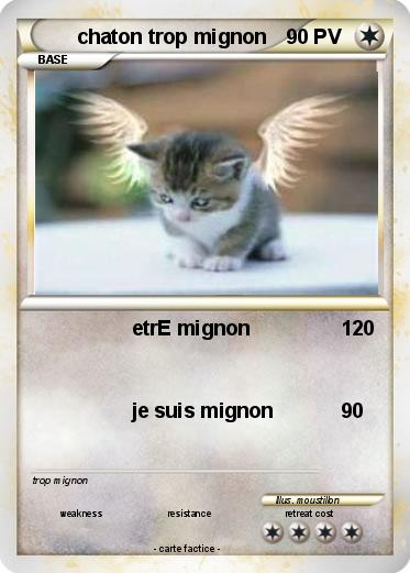 Pokemon chaton trop mignon