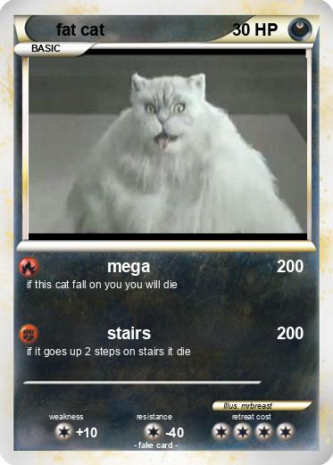 Pokemon fat cat