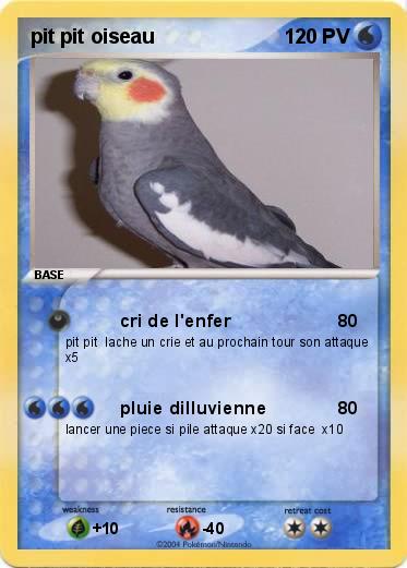 Pokemon pit pit oiseau