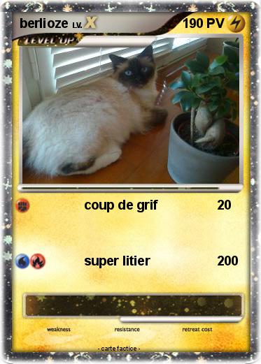 Pokemon berlioze
