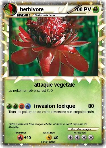 Pokemon herbivore
