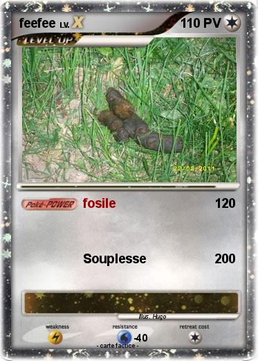 Pokemon feefee