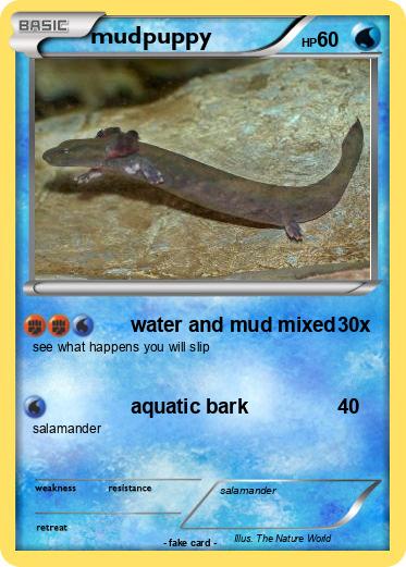 Pokemon mudpuppy