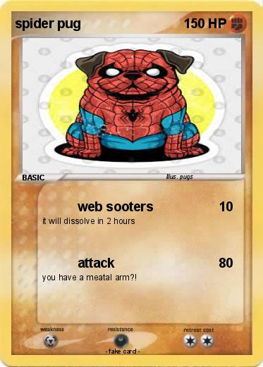 Pokemon spider pug