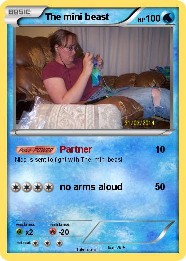 Pokemon The mini beast