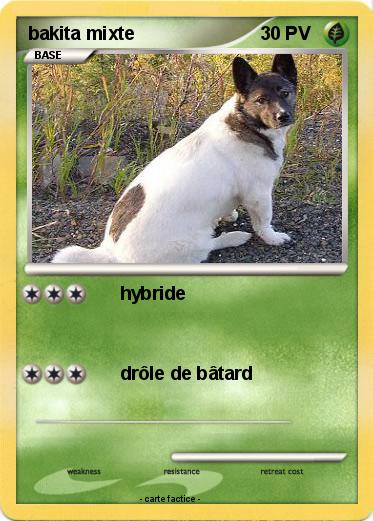Pokemon bakita mixte