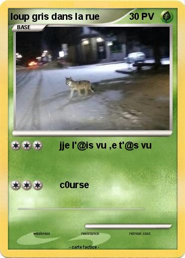 Pokemon loup gris dans la rue