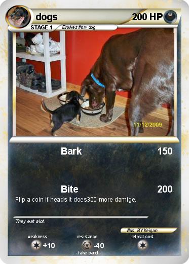 Pokemon dogs