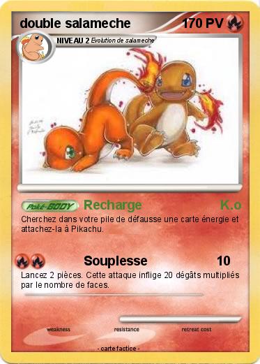 Pokemon double salameche