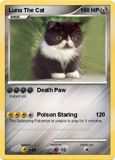 Pokemon Luna The Cat