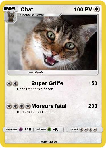 Pokemon Chat