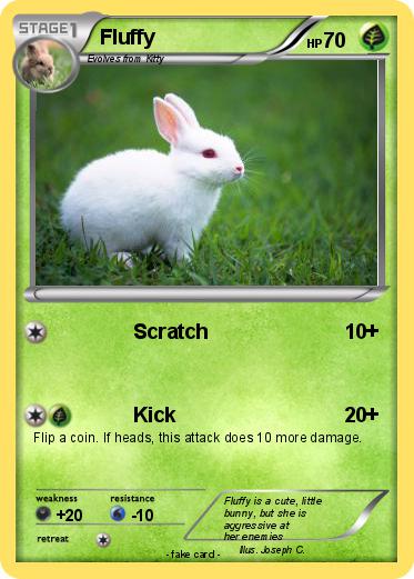 Pokemon Fluffy