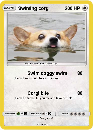 Pokemon Swiming corgi
