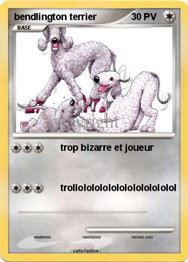 Pokemon bendlington terrier