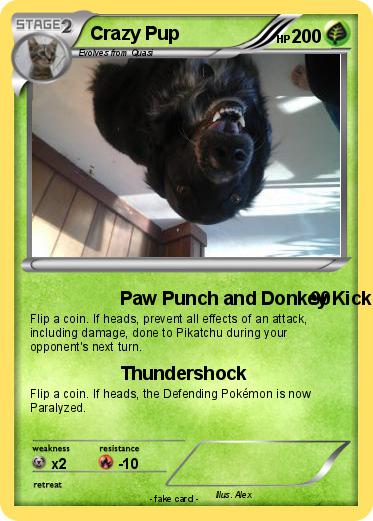 Pokemon Crazy Pup