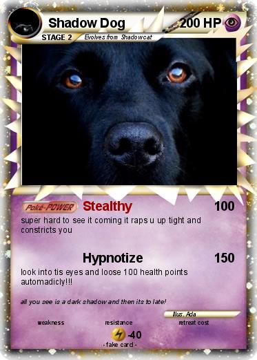 Pokemon Shadow Dog