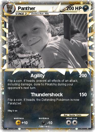 Pokemon Panther