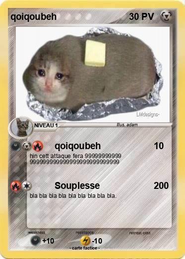 Pokemon qoiqoubeh