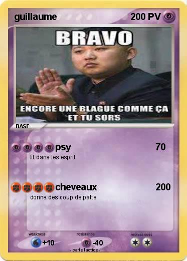 Pokemon guillaume